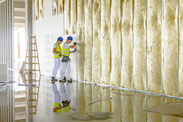 Insulation Air Sealing